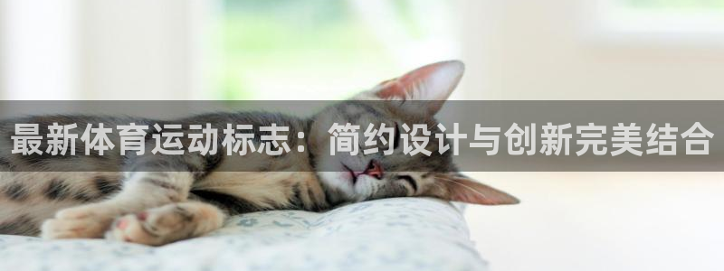 杏耀f凯捷平台在线注册：最新体育运动标志：简约设计与创新完美结合