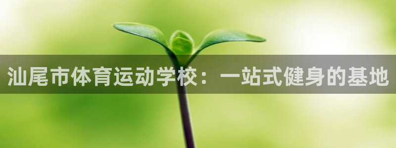杏耀体育注册：汕尾市体育运动学校：一站式健身的基地