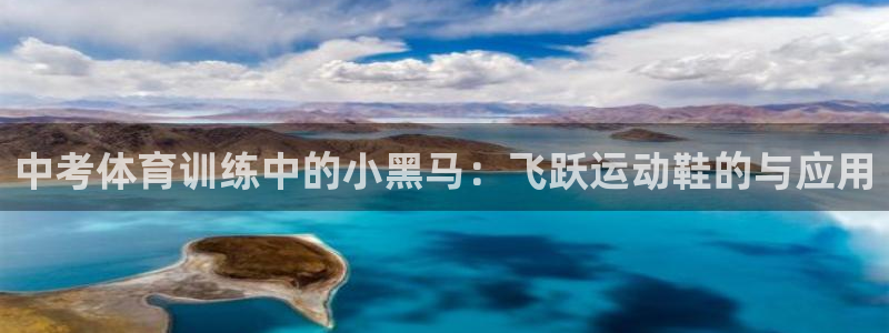 杏耀官网入口：中考体育训练中的小黑马：飞跃运动鞋的与应用
