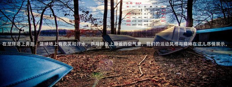 杏耀体育：在足球场上奔跑，篮球场上有欢笑和汗水，乒乓球台上静谧的空气里，我们的运