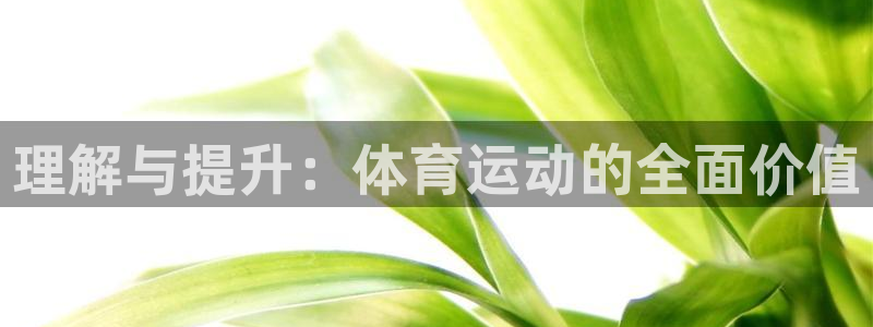 杏耀体育平台注册：理解与提升：体育运动的全面价值