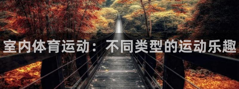 杏耀4登录：室内体育运动：不同类型的运动乐趣