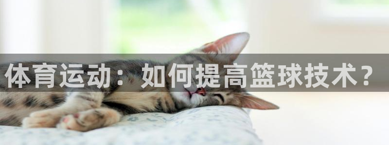 杏耀3：体育运动：如何提高篮球技术？