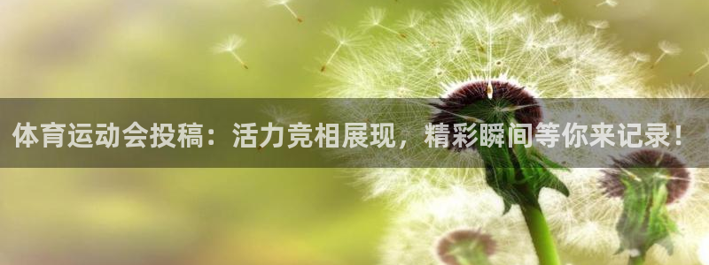 杏耀体育合法嘛：体育运动会投稿：活力竞相展现，精彩瞬间等你来记录！