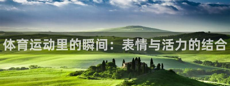 杏耀平台测速最新版本更新内容：体育运动里的瞬间：表情与活力的结合