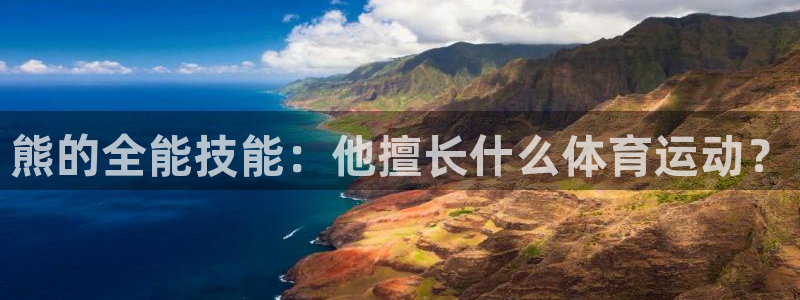杏耀体育3：熊的全能技能：他擅长什么体育运动？