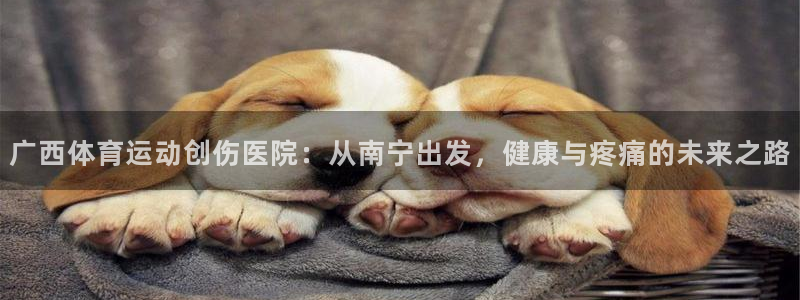 杏耀凯捷平台：广西体育运动创伤医院：从南宁出发，健康与疼痛的未来之路