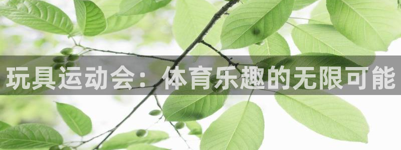 杏耀登陆测速：玩具运动会：体育乐趣的无限可能