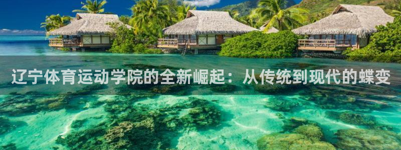 杏耀2平台登录：辽宁体育运动学院的全新崛起：从传统到现代的蝶变