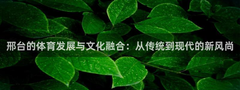 杏耀账号登录首页：邢台的体育发展与文化融合：从传统到现代的新风尚