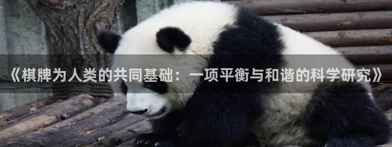 杏耀3注册：《棋牌为人类的共同基础：一项平衡与和谐的科学研究》