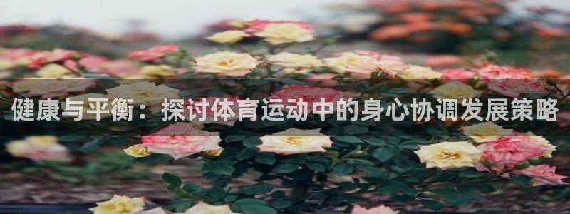 杏耀体育代理：健康与平衡：探讨体育运动中的身心协调发展策略