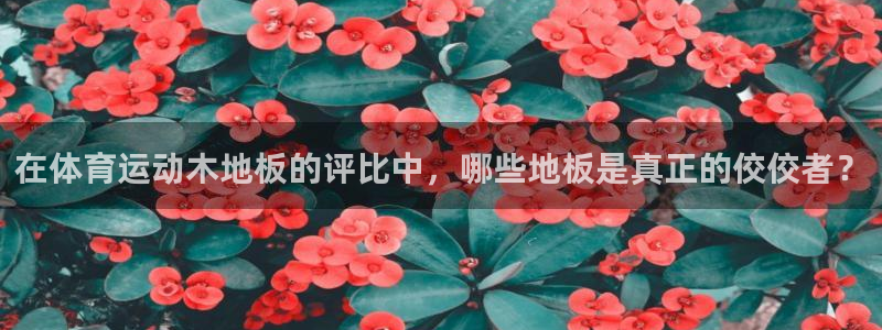 杏耀体育和杏耀是哪个公司的：在体育运动木地板的评比中，哪些地板是真正的佼佼者？