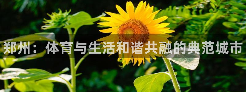 杏耀凯捷平台注册链接：郑州：体育与生活和谐共融的典范城市