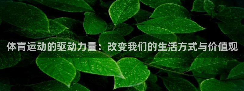 杏耀平台测速最新版本更新内容：体育运动的驱动力量：改变我们的生活方式与价值观