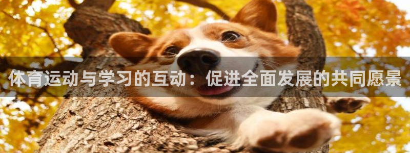 杏耀电子有限公司：体育运动与学习的互动：促进全面发展的共同愿景
