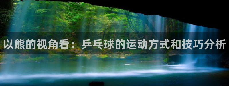 杏耀体育凯捷平台注册：以熊的视角看：乒乓球的运动方式和技巧分析