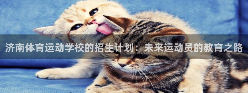 杏耀账号登录首页：济南体育运动学校的招生计划：未来运动员的教育之路