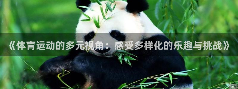 杏耀kgame：《体育运动的多元视角：感受多样化的乐趣与挑战》