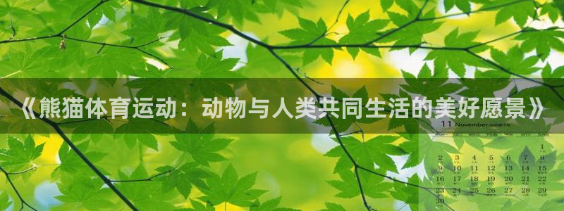 杏耀体育凯捷平台招商：《熊猫体育运动：动物与人类共同生活的美好愿景》