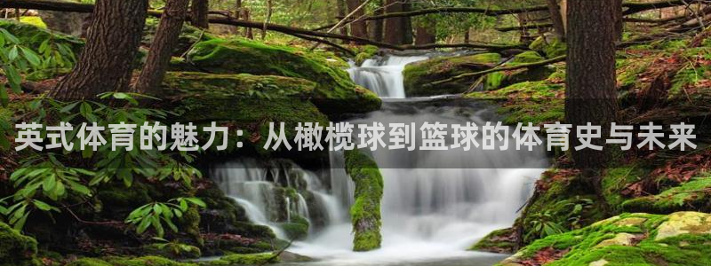 杏耀2注册：英式体育的魅力：从橄榄球到篮球的体育史与未来